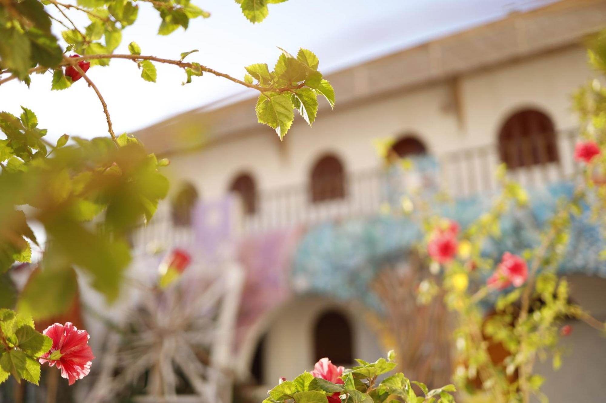 Nook Hostel ดาฮับ ภายนอก รูปภาพ